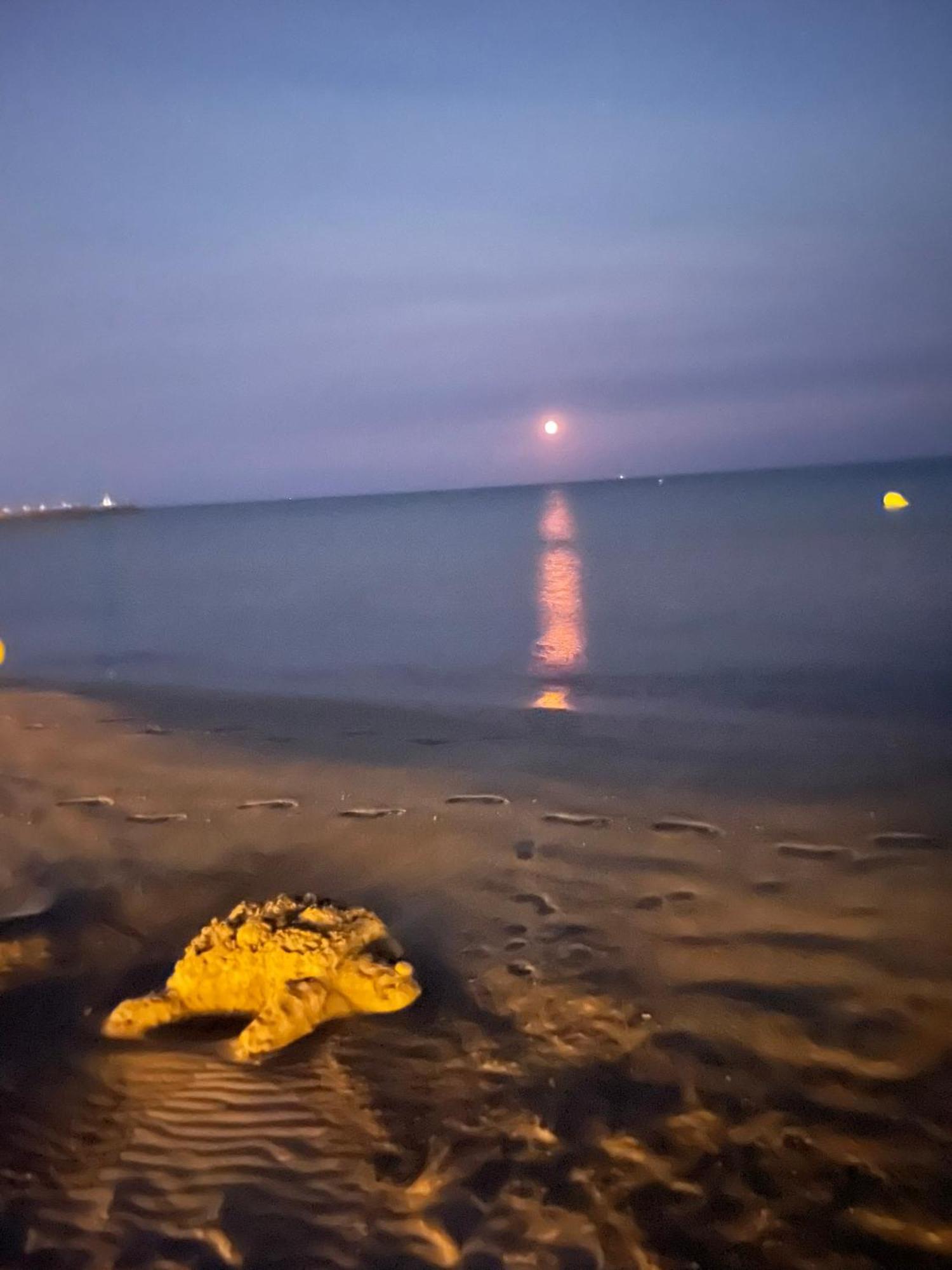 Vrasland Ter 70 M De La Plage 6 Couchages Narbonne-Plage Esterno foto